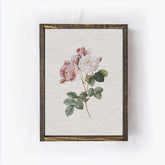 Watercolour Flower Rose A73